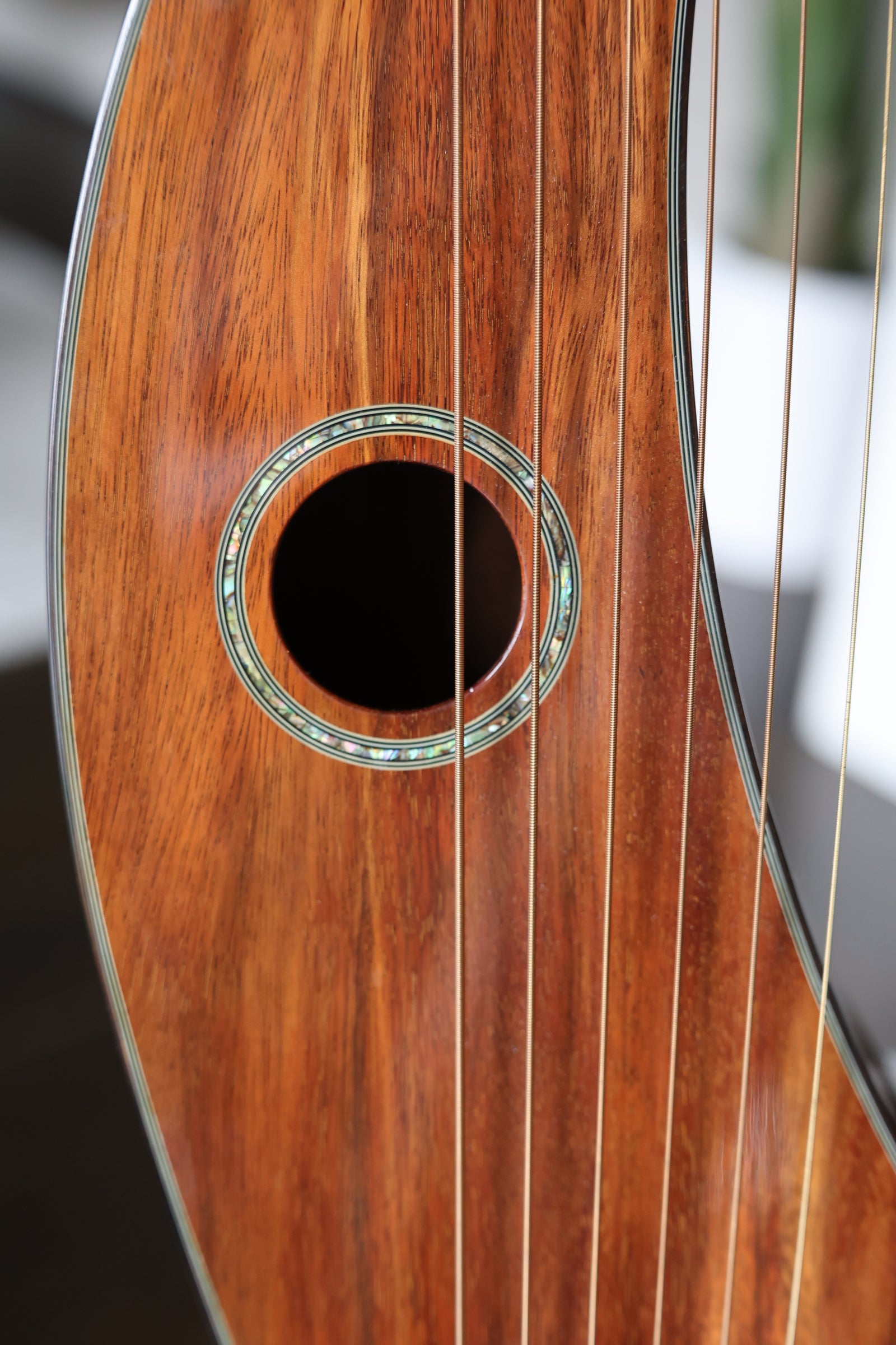 Timberline T70HGC Harp Guitar