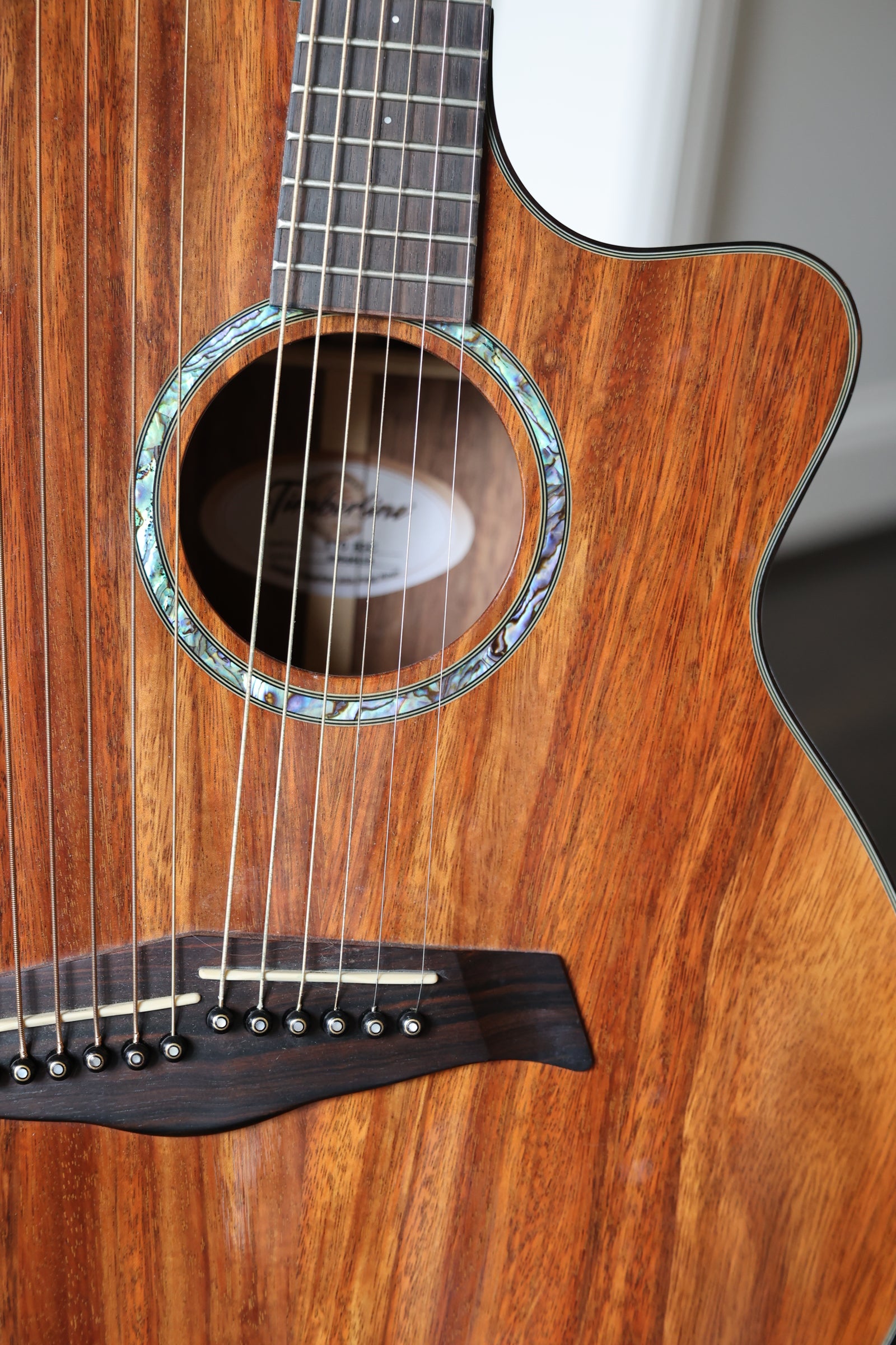 Timberline T70HGC Harp Guitar